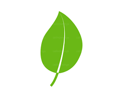 Shape Image